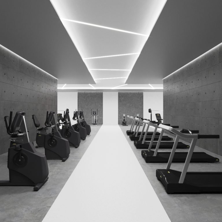 Ceiling Gym